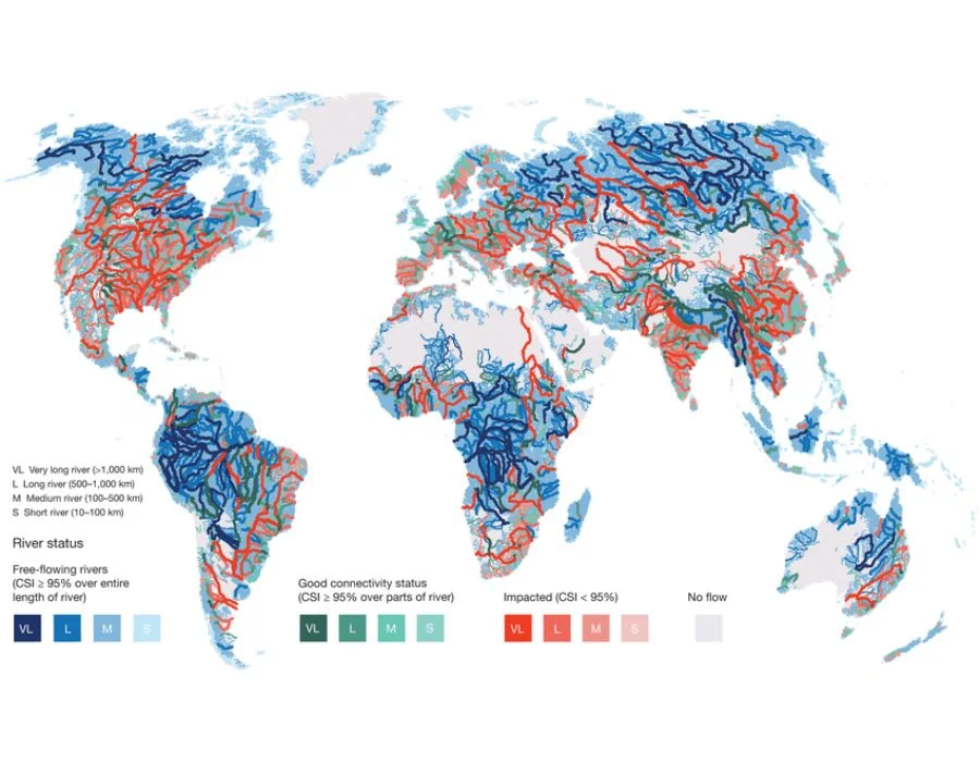 map of free-flowing rivers in the world