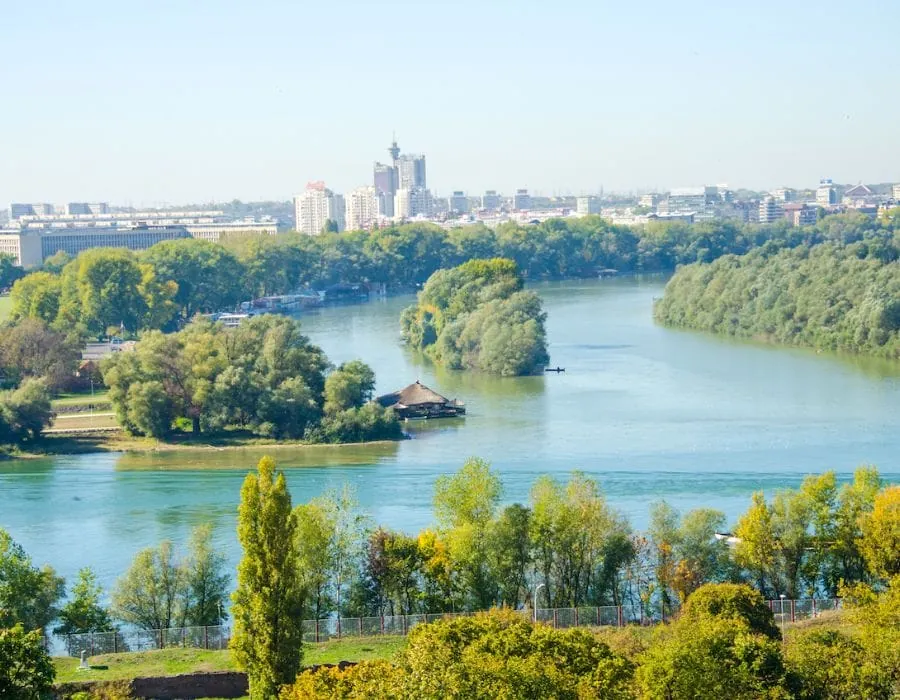 Confluence Danube and Sava