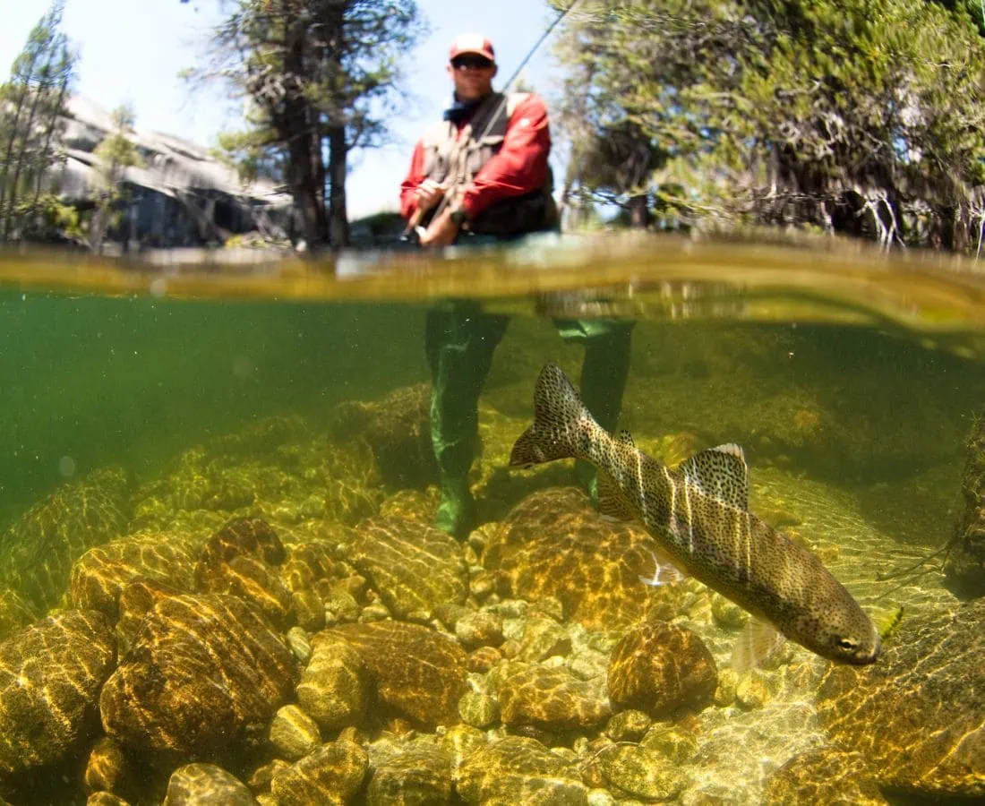 best fly fishing rivers us