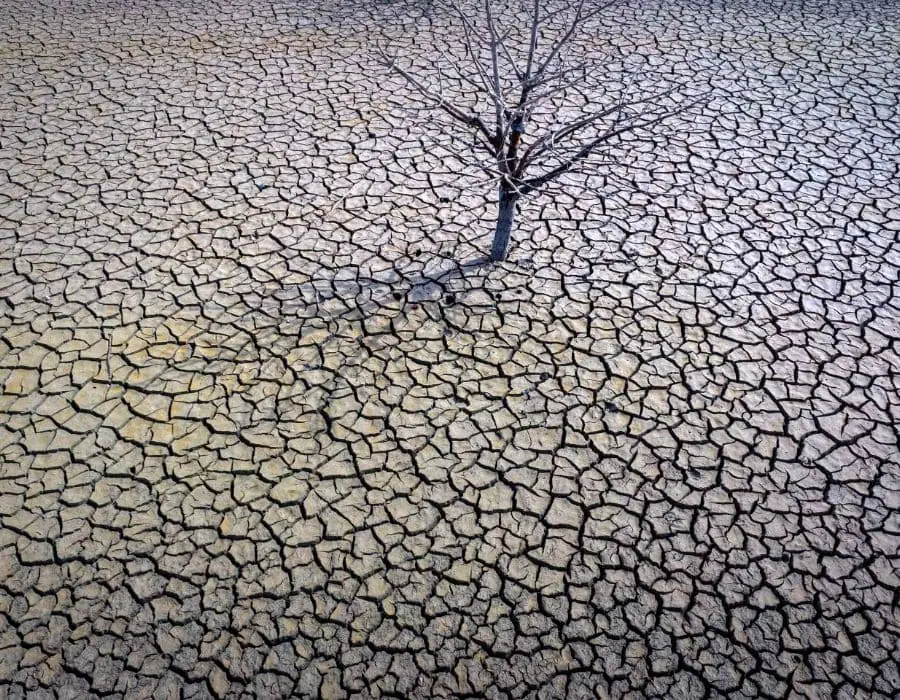 impact drought rivers