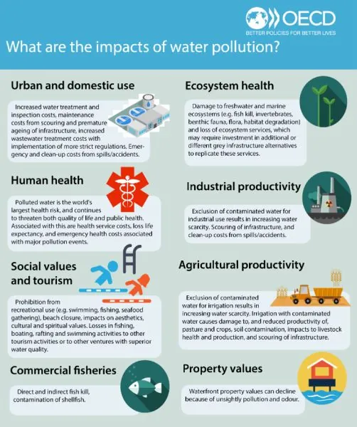 impact water pollution