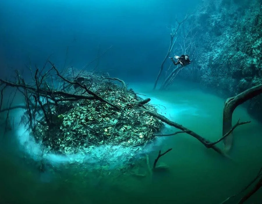 Yucatan Peninsula Underwater River